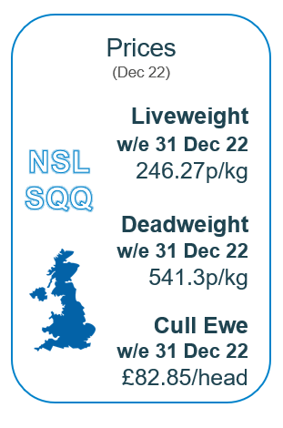 Infographic showing prices for sheep in December 2022